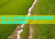 糖心vlog玩偶陪你记录生活精彩瞬间轻松创作专属视频