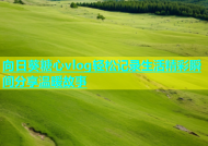 向日葵糖心vlog轻松记录生活精彩瞬间分享温暖故事