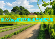 糖心Viog的魅力探秘与风味之旅