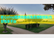 糖心vlog视频兑换码免费领取精彩内容畅享平台