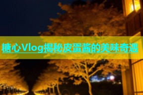 糖心Vlog揭秘皮蛋酱的美味奇遇