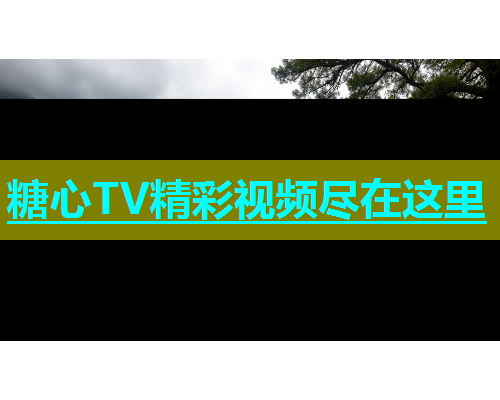 糖心TV精彩视频尽在这里  第1张