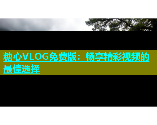 糖心VLOG免费版：畅享精彩视频的最佳选择  第1张